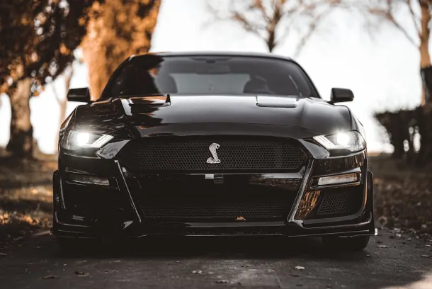 Luckland Casino App Android/iOS